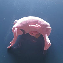 LowCo Plush Toy